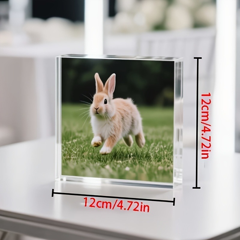 1PC Custom Photo   Acrylic Per - Photo Acrylic Block 评论和价格
